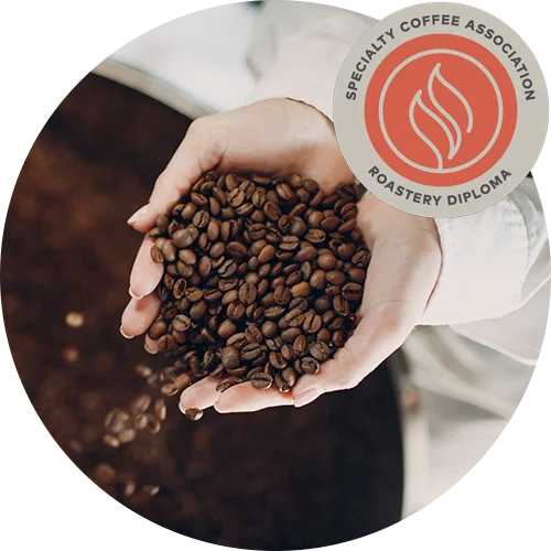 SCA 로스터리 디플로마 로고와 두 손 가득 담긴 원두